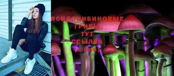 прущая мука Новодвинск