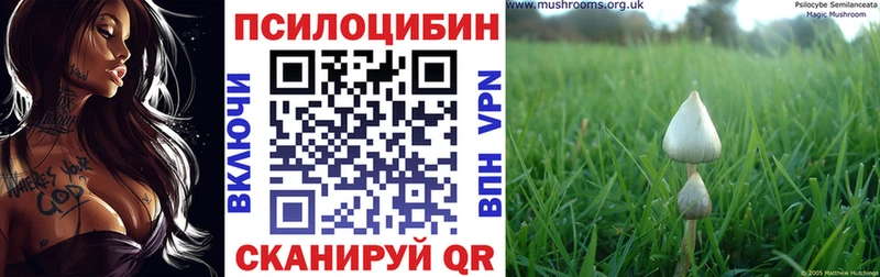 Галлюциногенные грибы ЛСД ОМГ ОМГ tor Фатеж где продают наркотики