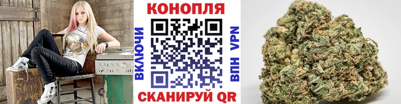 Канабис AK-47  купить закладку  Фатеж 